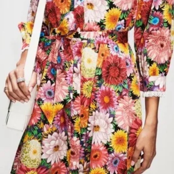 BORGO DE NOR Floral Button Down Belted Cotton Midi Dress Sz 6 - Picture 8 of 9